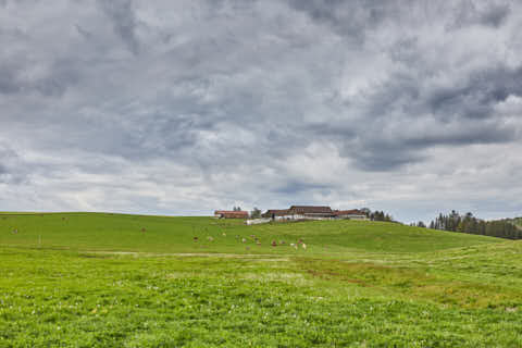 Gemeinde Mitterskirchen Landkreis Rottal-Inn Hirtl Hummelsberg Regen (Dirschl Johann) Deutschland PAN